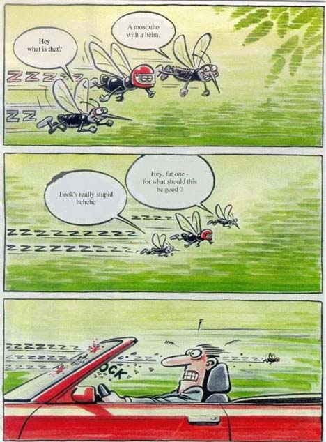 Funny picture of the day